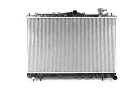 Радиатор, охлаждение двигателя BSG купить